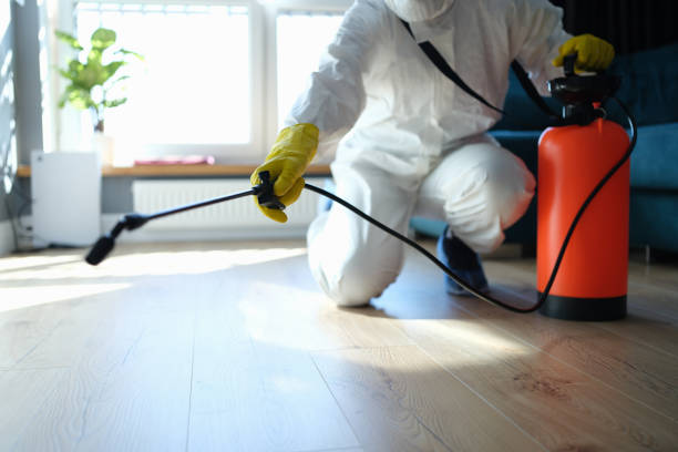 Trusted Sewage Cleanup service in White Cloud, MI - Four Month Blood Cleanse